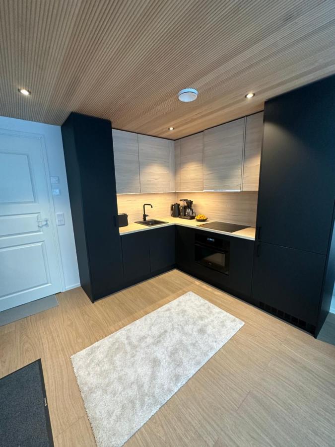Vila Levi Aurora Sky Exteriér fotografie